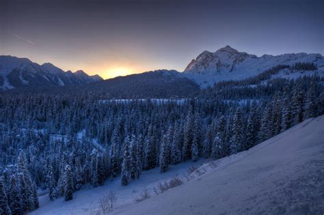 Papel De Parede Rvores Panorama Floresta Natureza Neve Inverno