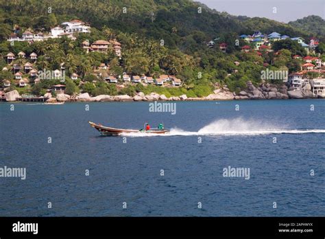 Boat Traditional People Tourists Koh Tao Thailand Thai Asia Asi Hi Res