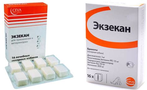 Экзекан для собак - инструкция по применению, цена, отзывы | «Дай Лапу»