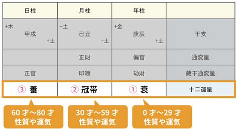 四柱推命の【十二運星】とは？意味・調べ方・エネルギーを解説｜優しい四柱推命