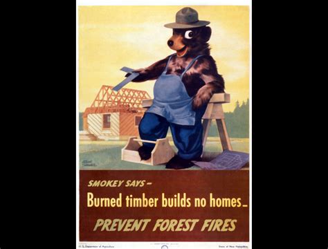 Pin By Scott Whipple On Vintage Smokey Bear Smokey The Bears Bear