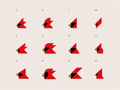Cardinal Head Exploration By Andrzej Erdman On Dribbble