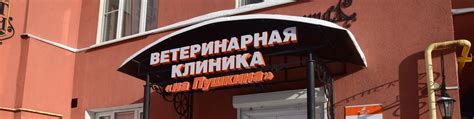 Ветеринарная Клиника "на Пушкина" | Здесь к Вашему питомцу отнесутся с ...