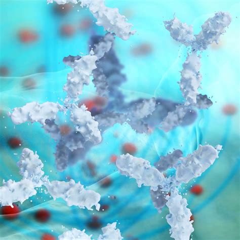 Immunotherapy combinations standard of care for advanced kidney cancer - Action Kidney Cancer