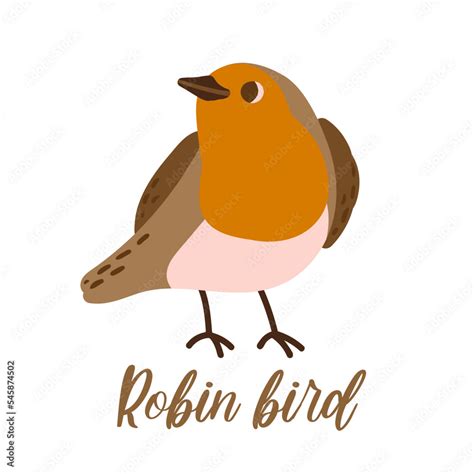 Cartoon Robin Bird Cute Winter Bird Vector Illustration For Prints