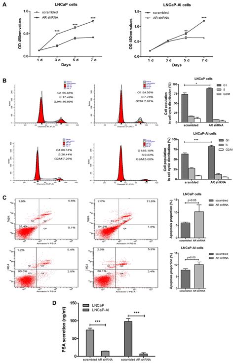 Androgen Independent Lncap Cells Are A Subline Of Lncap Cells With A