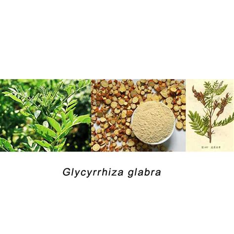 Formula, MULTIEX BSASM_Bio Skin-Technology