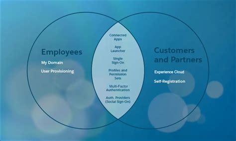 Get To Know Your Salesforce Identity Users Unit Salesforce Trailhead