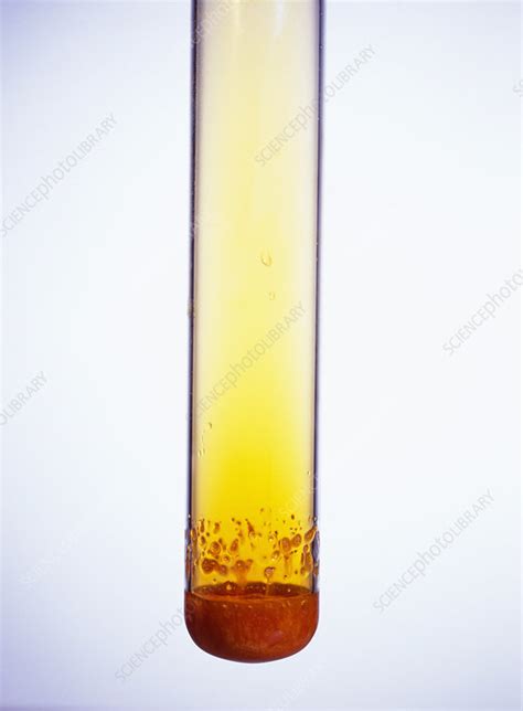 Bromide reaction - Stock Image - A500/0404 - Science Photo Library