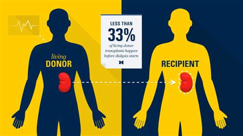 Organ Transplantation Explained Vshr Group