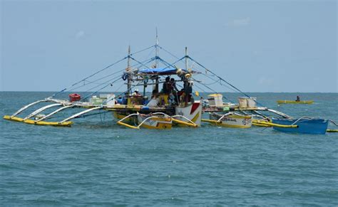 Bfar Says Filipino Fishers Should Stay At West Philippine Sea Pln Media