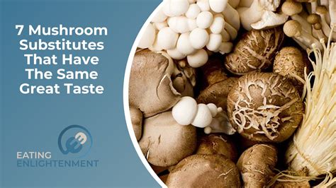 7 Mushroom Substitutes That Have The Same Great Taste — Eating Enlightenment