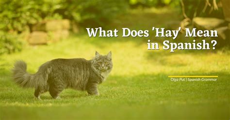 What Does Hay Mean In Spanish And When To Use Está Instead