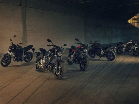 Yamaha MT 07 2014 datos oficiales y fotos de la nueva naked bicilíndrica