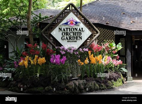 Singapore Botanical Garden Singapores Botanical Gardens Stock Photo