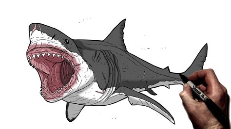 How To Draw A Megalodon Shark Step By Step