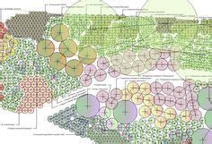 Piet Oudolf Sketches - Landscape Architecture Modern Park Design