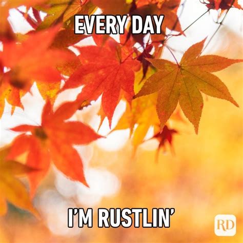 40 Fall Memes All Autumn Lovers Will Relate To In 2024