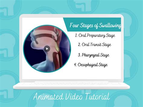 Adult Speech Therapy Dysphagia Course Stages Of Swallowing Speech