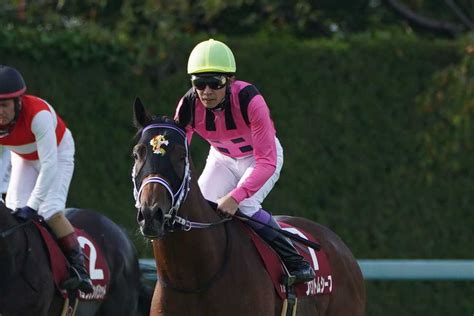 【神戸新聞杯】ファントムシーフは意表を突く逃げで3着 武豊騎手「この馬には馬場が硬すぎました」｜競馬ニュース｜競馬予想のウマニティ