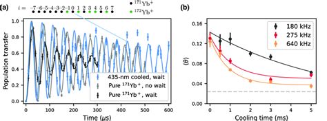 A Carrier Rabi Oscillations Of The Middle 171 Yb Ion I 0 In A