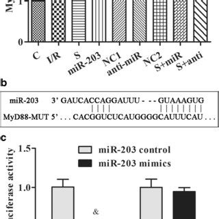 Mir Inhibited Myd Expression By Targeting The Utr Of A Rt Pcr