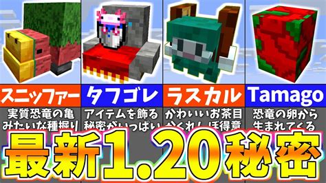 【マイクラ120】絶対に知っておくべき新モブの秘密＆アップデートの小ネタ8選【まいくら・マインクラフト】 Youtube