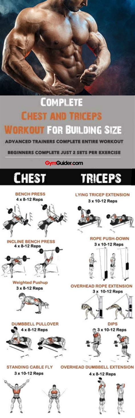 Best Chest And Tricep Workout For Growth Get More Anythinks