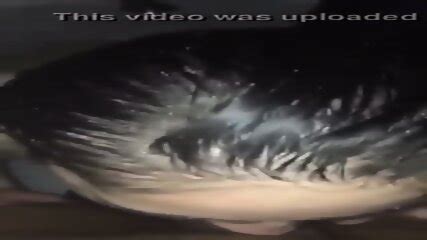 My BADD ASS Girlfriend Giving Me The BEST HEAD