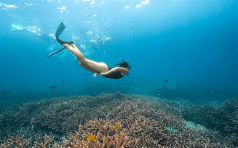 9 Tempat Snorkeling Di Bali Dengan Pemandangan Paling Cantik