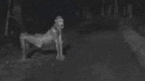 Recent Nm Skinwalker Photo Ignites Fear Youtube