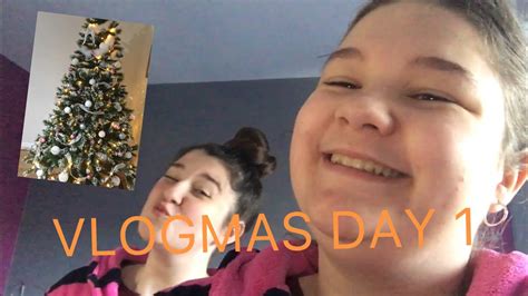 Vlogmas Day 1 Decorating The Christmas Trees And Putting Up The Lights