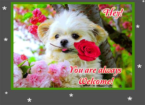 Welcome Dear Free You Are Welcome Ecards Greeting Cards 123 Greetings