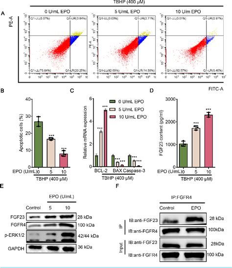 Figure From Erythropoietin Alleviates Lung Ischemia Reperfusion