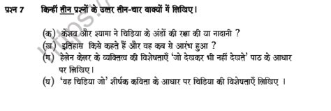 Cbse Class 6 Hindi Question Paper Set 6 Solved