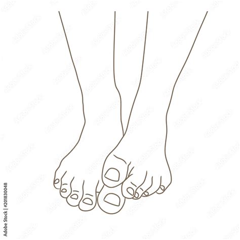 Female Feet Barefoot Front View One Foot Lying On The Other Healthy Toenails Vector