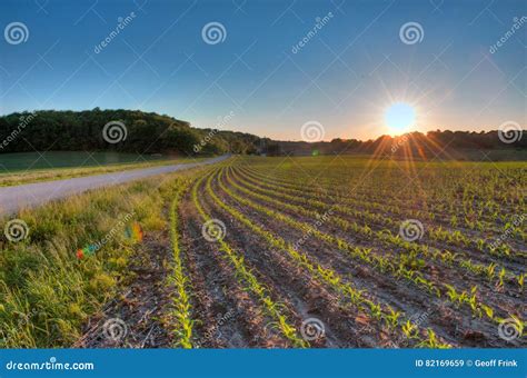 Sun Setting Over Farm Field Stock Image Image Of Twilight Farm 82169659