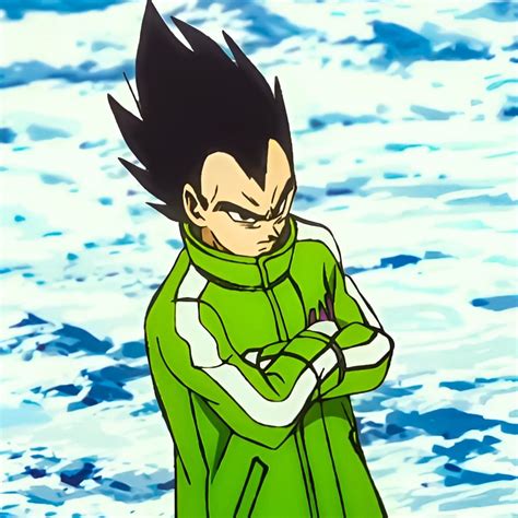 Dragon Ball Super Goku Broly Vegeta Sab Coat Jacketsjunction Atelier