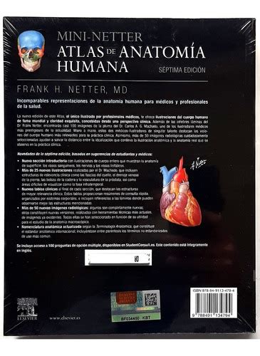 Mini Netter Atlas De Anatomía Humana 7 Ma Edición Mercado Libre