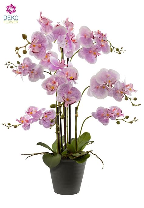 K Nstliche Orchidee Phalaenopsis Im Topf Cm Rosa