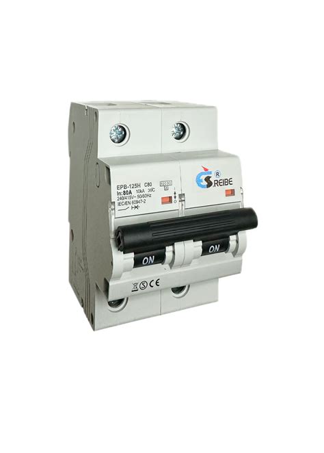Interruptor Automático Magnetotérmico, 2P, 80A, 10kA Curva C – ES.REIBE