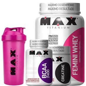 Tudo Sobre Kit Femini Whey Feminino Bcaa Creatina Shaker