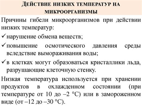 Влияние факторов внешней среды на микроорганизмы - презентация онлайн