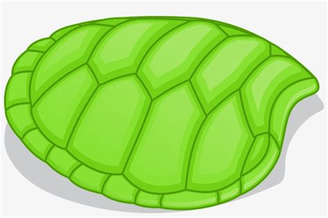 Turtle Shell Vector at Vectorified.com | Collection of Turtle Shell ...