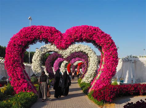 Dubai Miracle Garden An Amazing Garden In The Middle Of The Desert