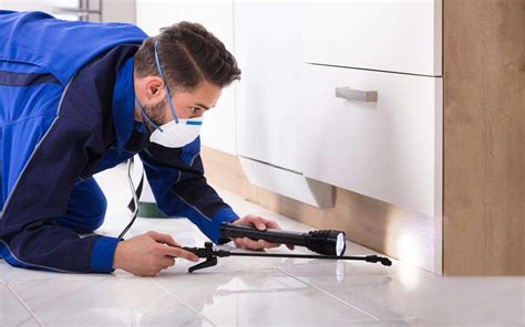 How To Select The Right Pest Control Service