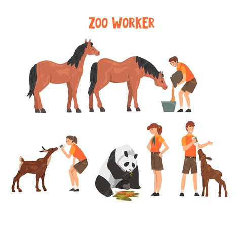 Premium Vector | Zoo workers feeding and caring of animals professional