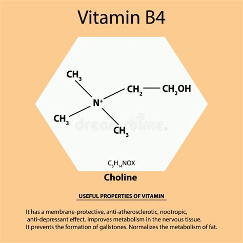 Vitamin B4 Choline Molecular Chemical Formula Useful Properties Of