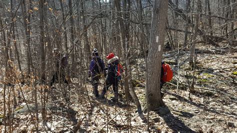 Lakepurity Credit Valley Area내 북쪽 Silver Creek Conservation 숲속의 돌짝밭길 걸었다