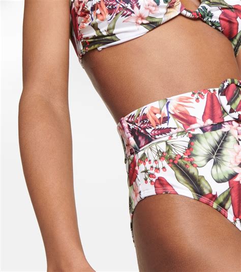 Alexandra Miro Ursula Printed Bikini Bottoms In Tropical Print Modesens